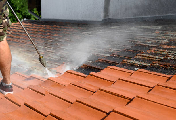 Best Fence Pressure Washing  in Belle Haven, VA