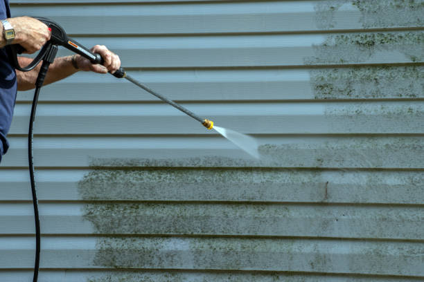 Best Power Washing Near Me  in Belle Haven, VA