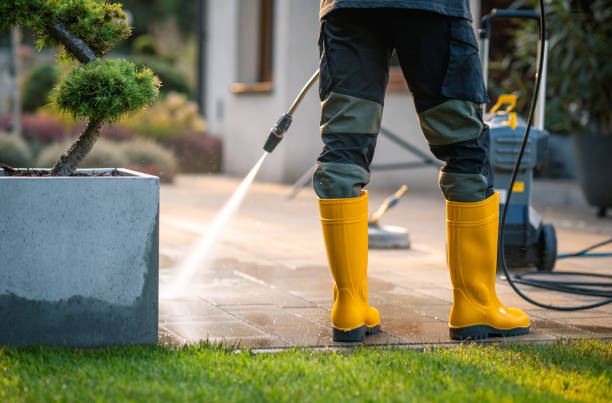 Best Sidewalk Pressure Washing  in Belle Haven, VA